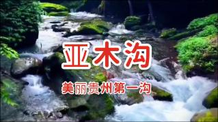 守护飞行城堡
